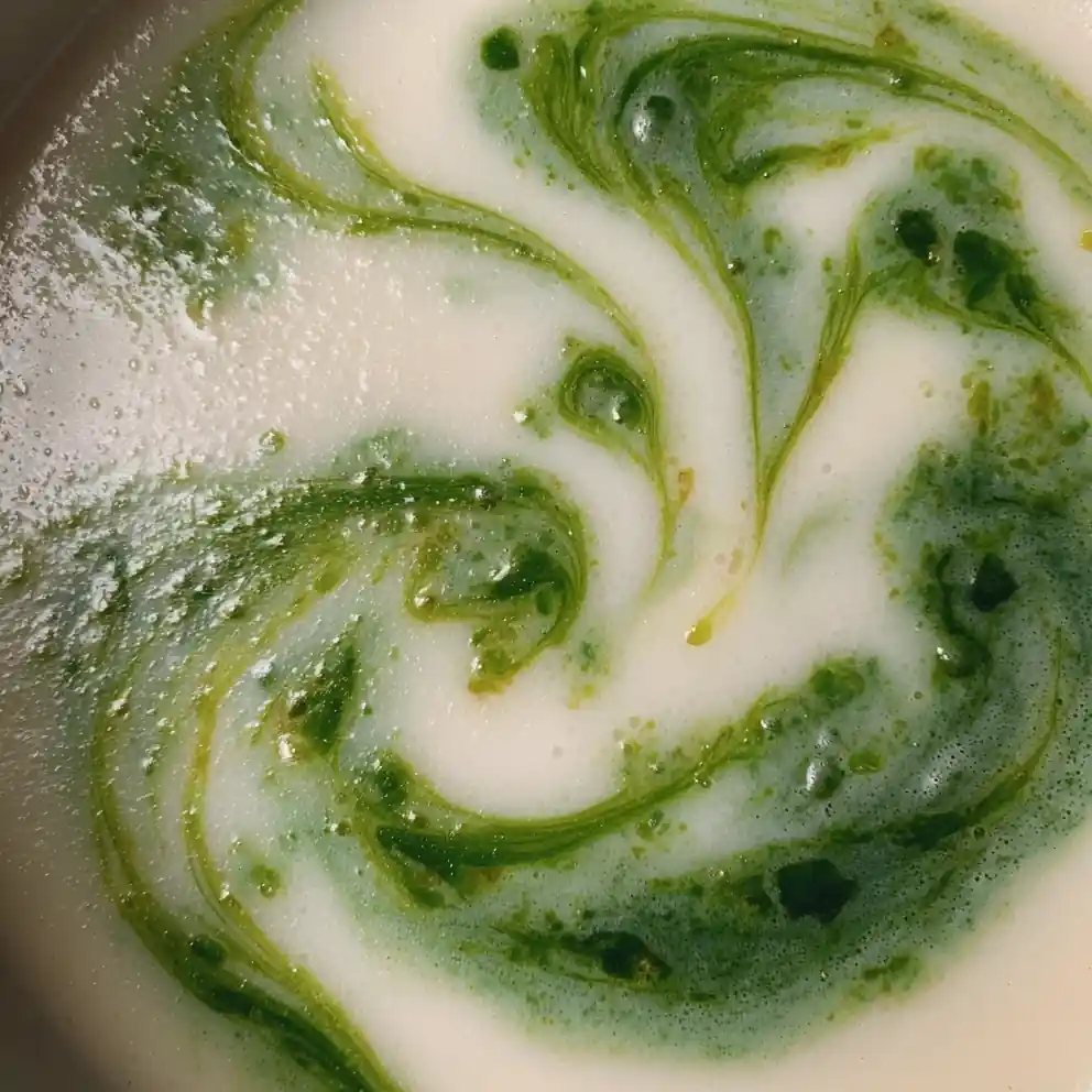 Cream Of Celery Soup Recipe With Parsley Oil Swirl 1762642019.3082712