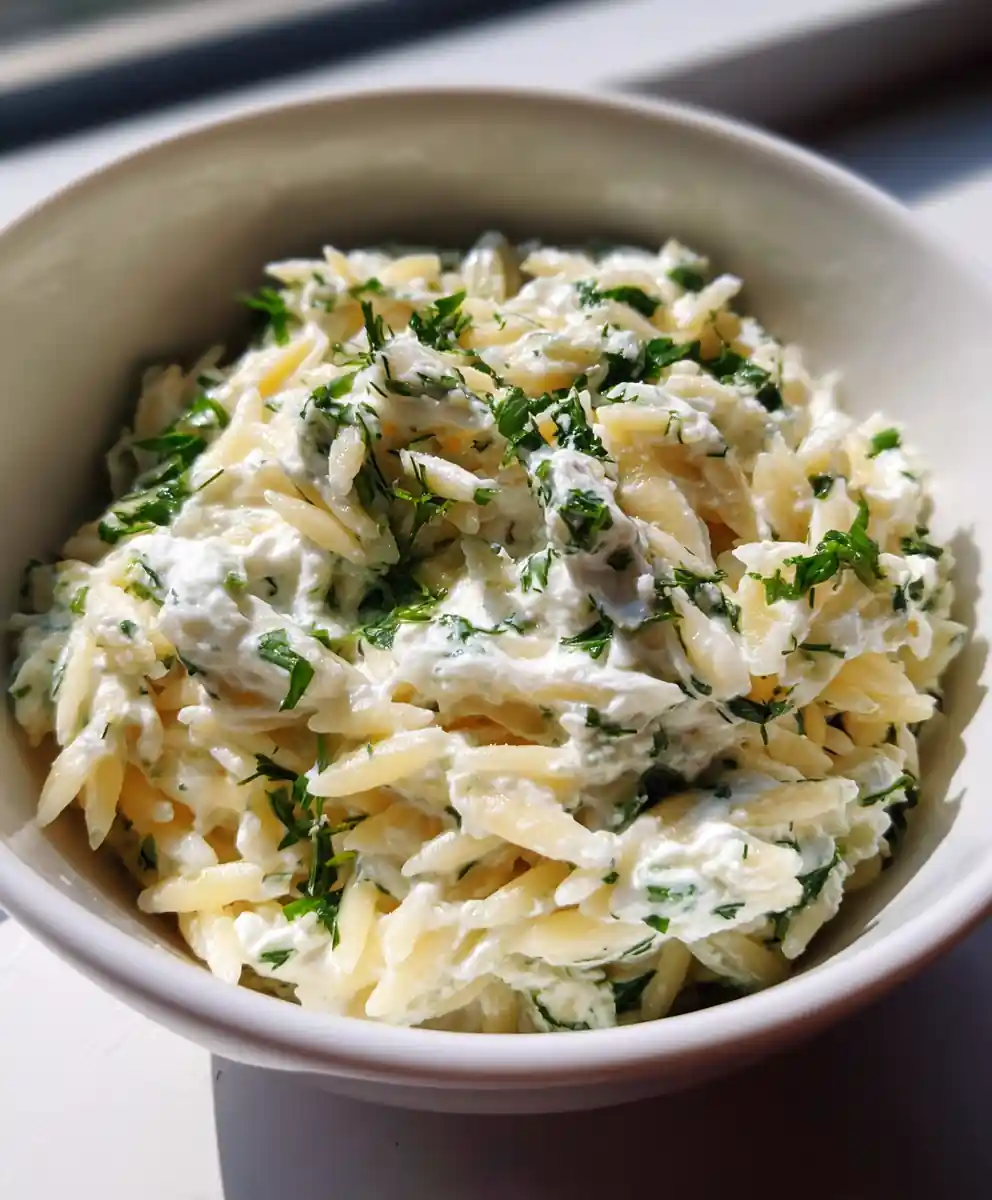 Orzo Pasta Recipe 5 orzo pasta recipe