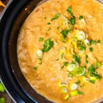 Slow Cooker Chicken Enchilada Dip 4 Slow Cooker Chicken Enchilada Dip