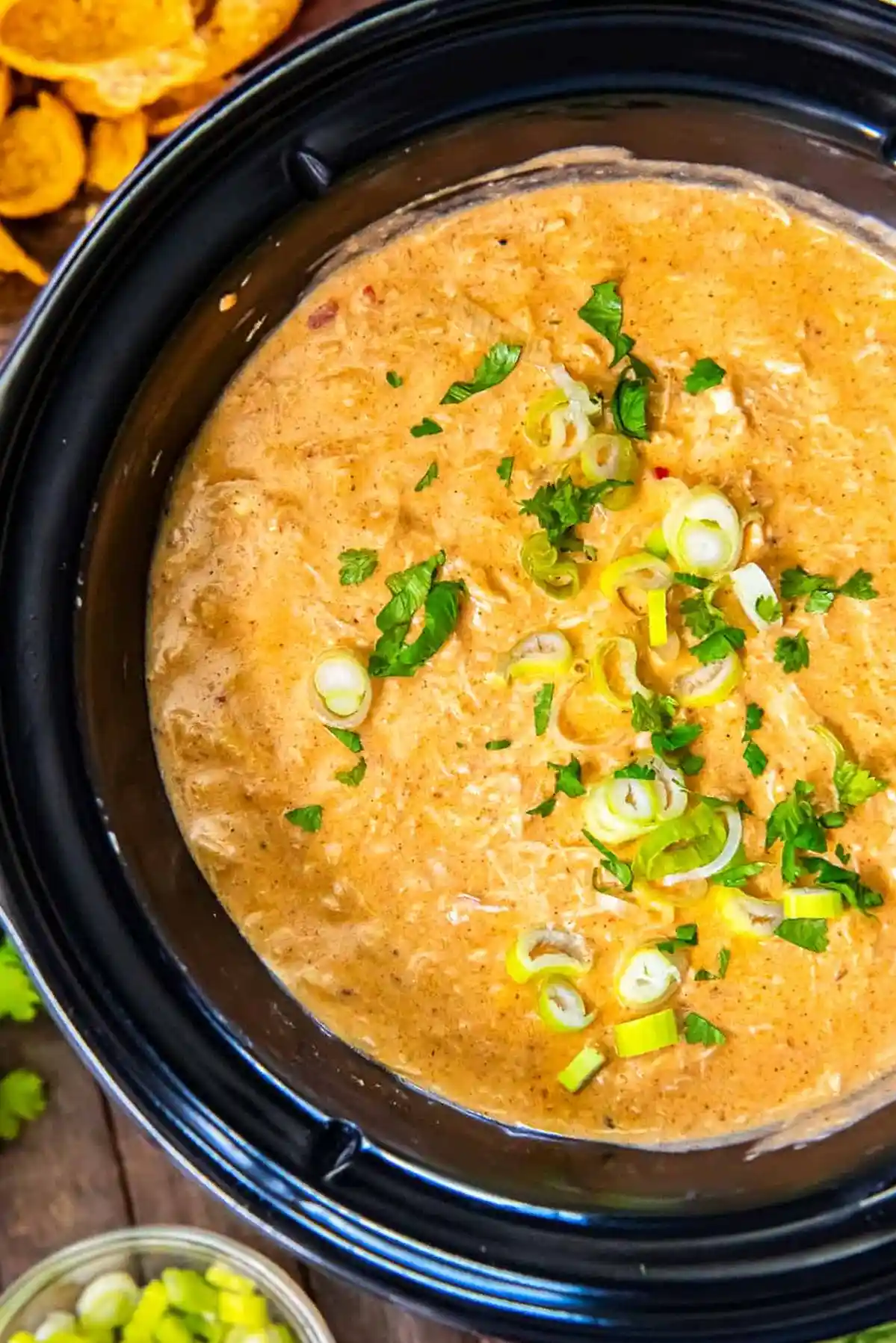 Slow Cooker Chicken Enchilada Dip 3 Recipe image