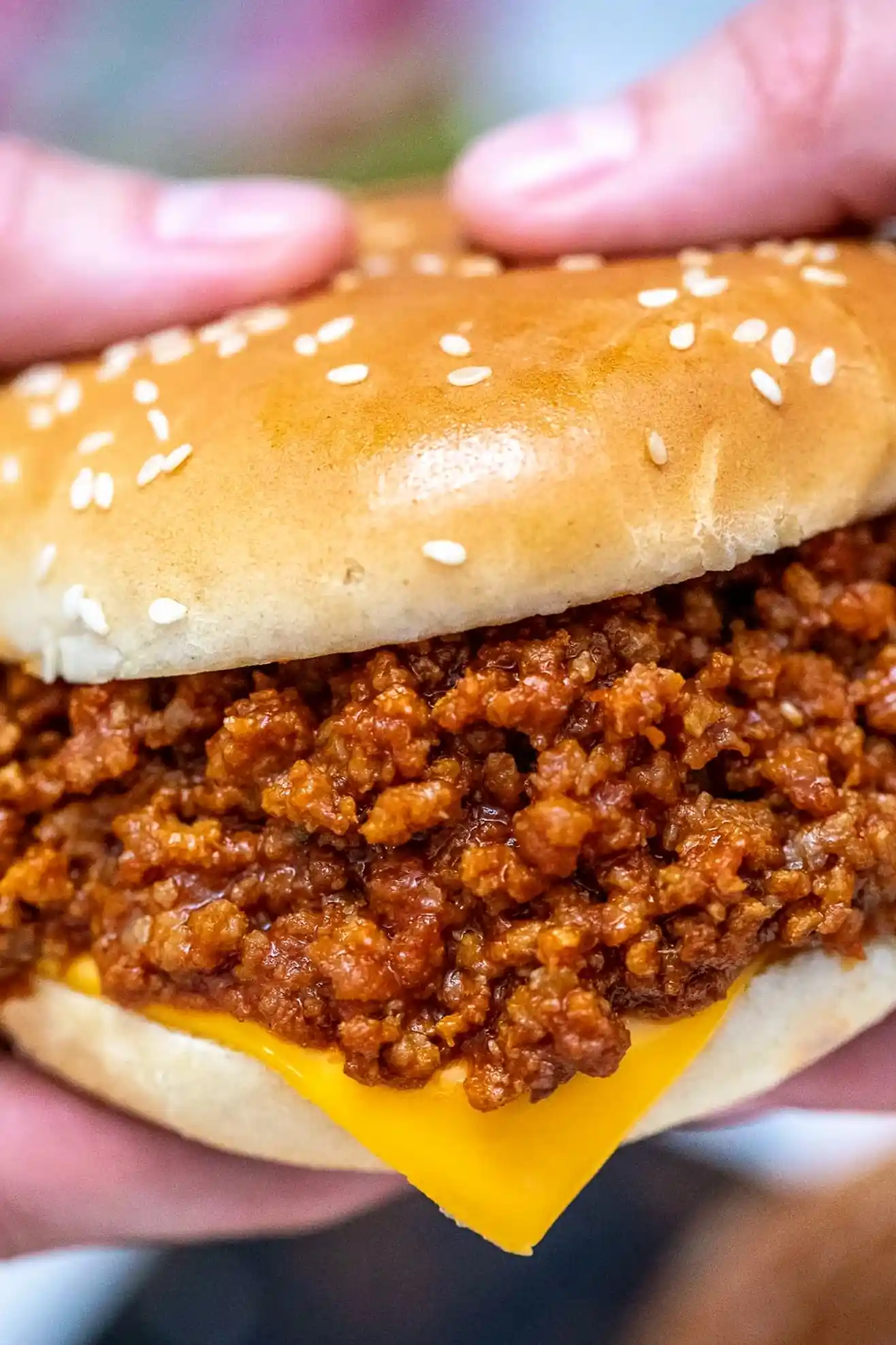 Slow Cooker Sloppy Joes 3 Recipe image
