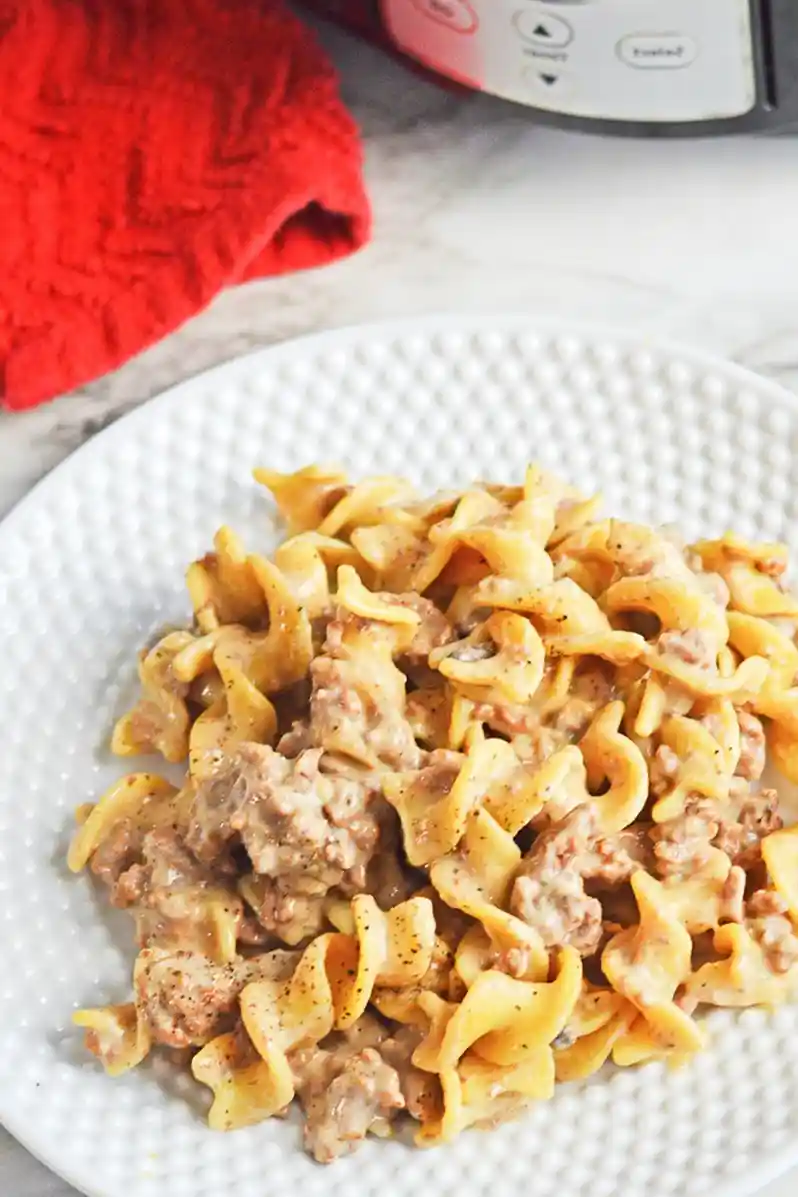 Crock Pot Ground Beef Stroganoff 3 Recipe image