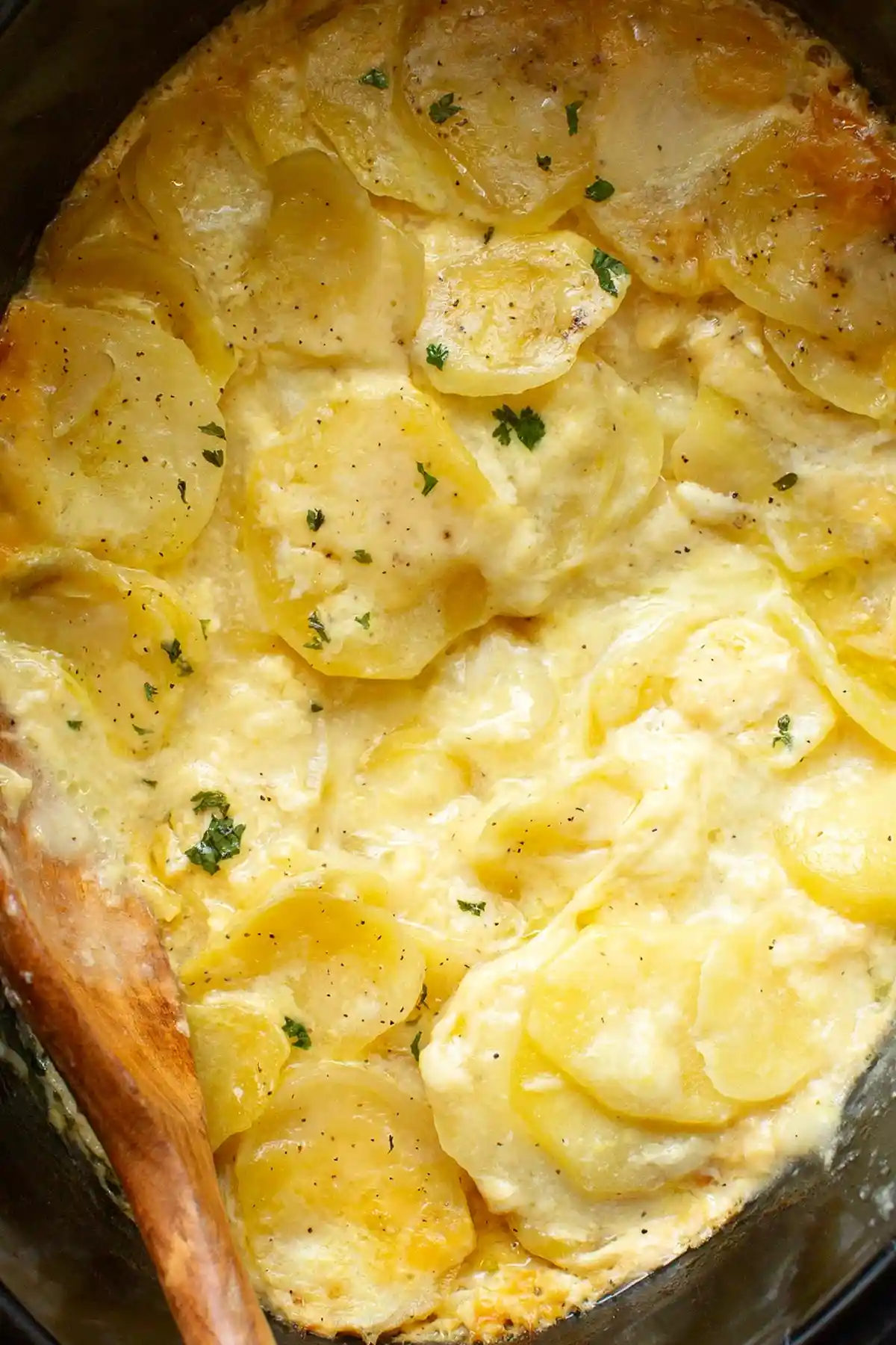 Slow Cooker Creamy Scalloped Potatoes 3 Recipe image