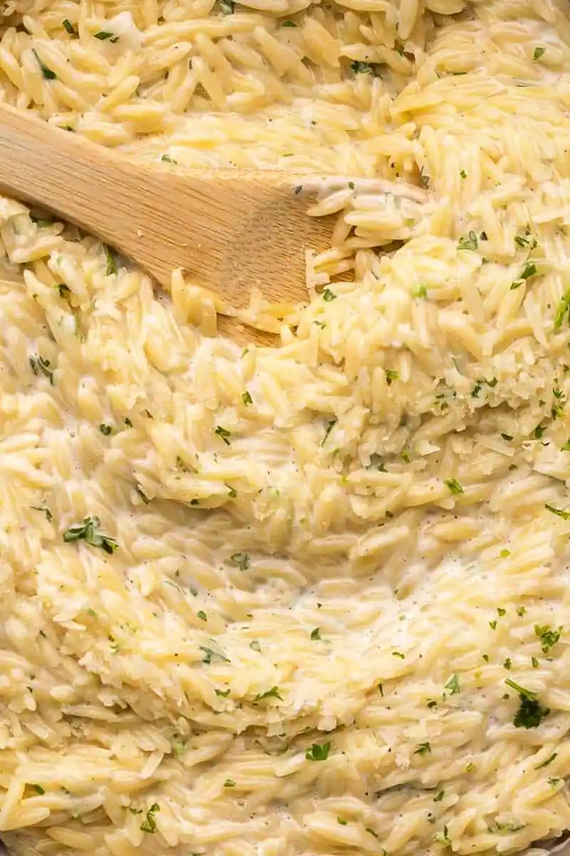 Creamy Garlic Parmesan Orzo Pasta 3 Recipe image