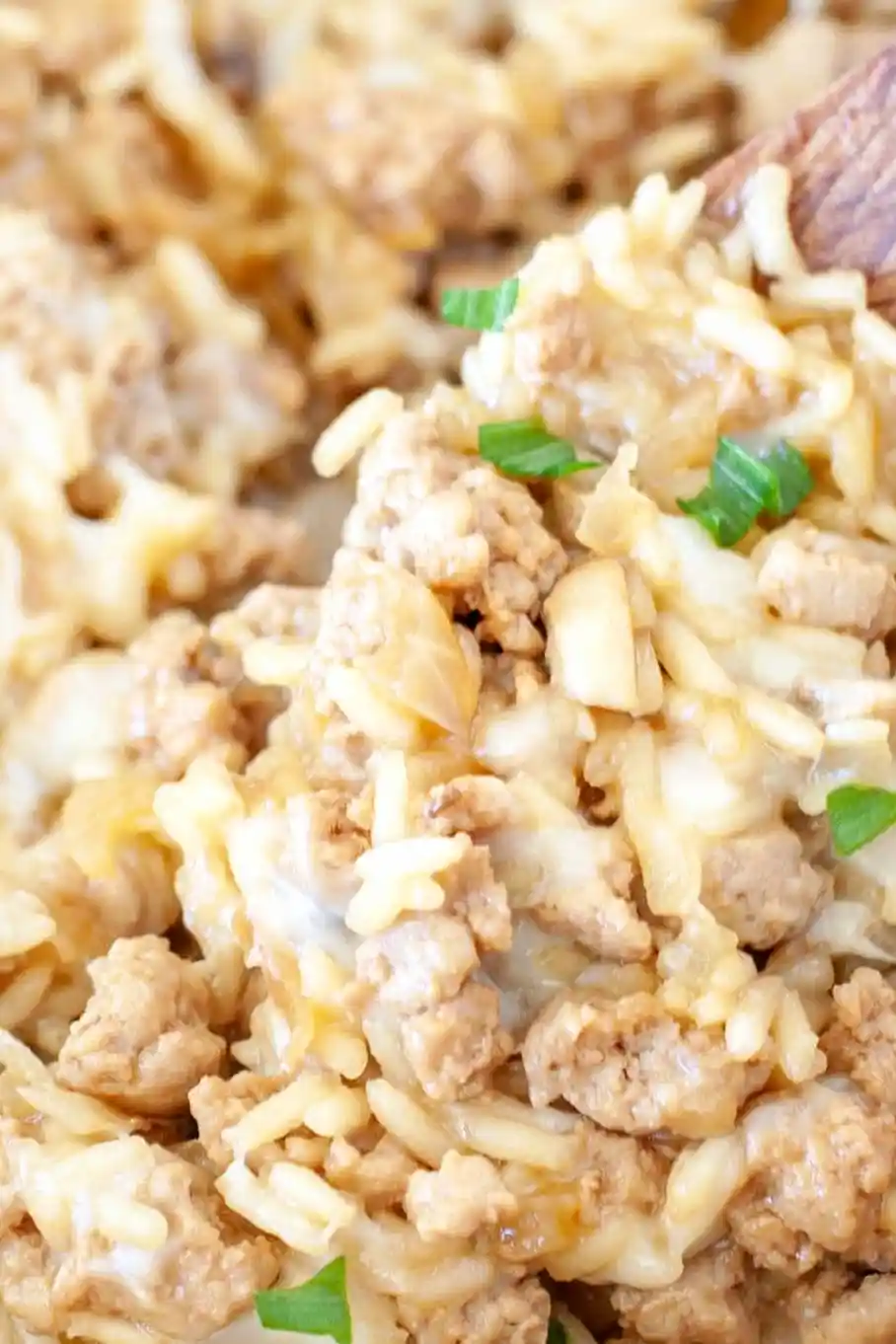 Savory Ground Turkey and Rice Skillet 3 Recipe image