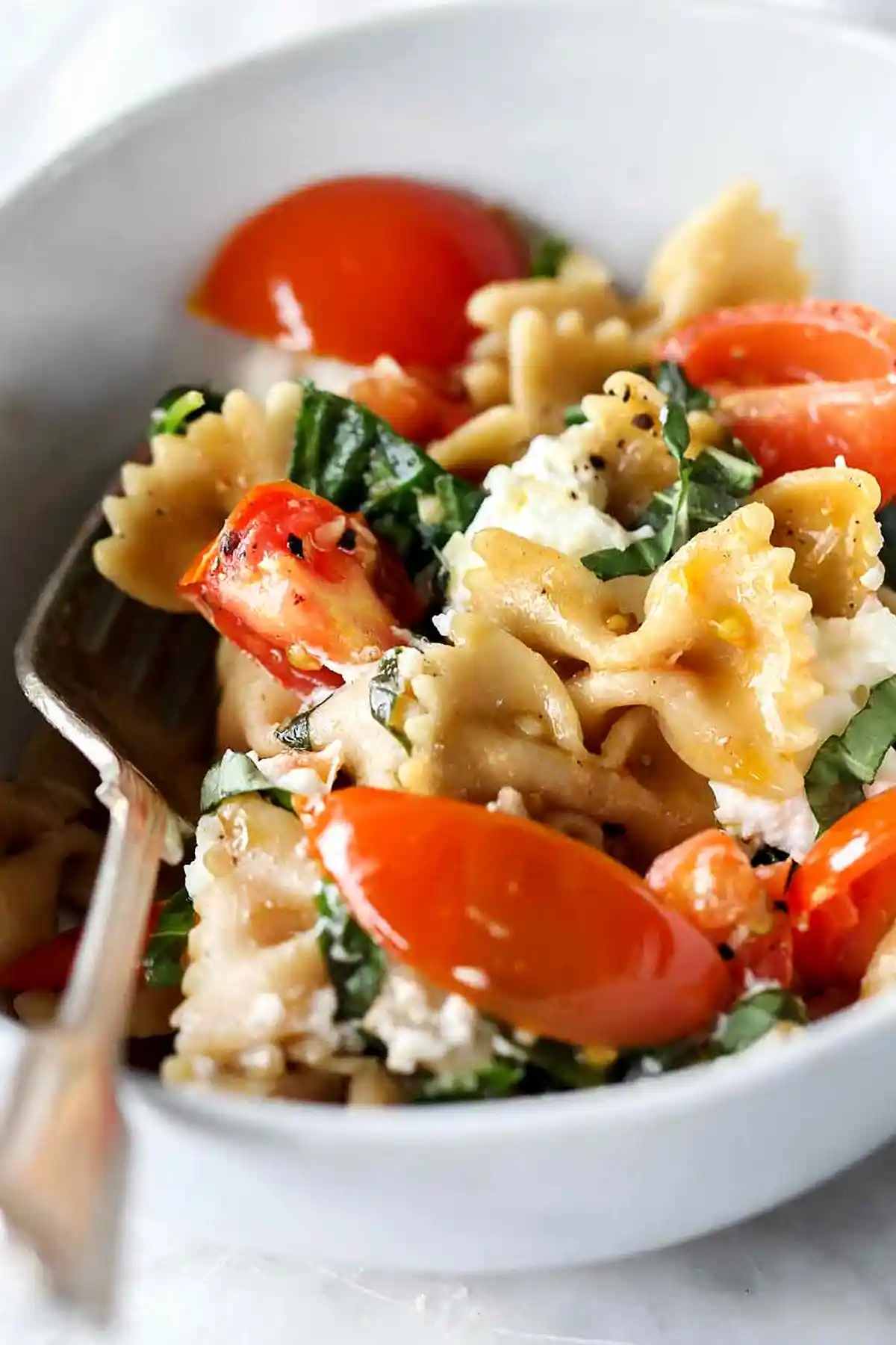 Wholesome Whole Wheat Pasta with Garden Tomatoes and Creamy Ricotta 3 Wholesome Whole Wheat Pasta with Garden Tomatoes and Creamy Ricotta