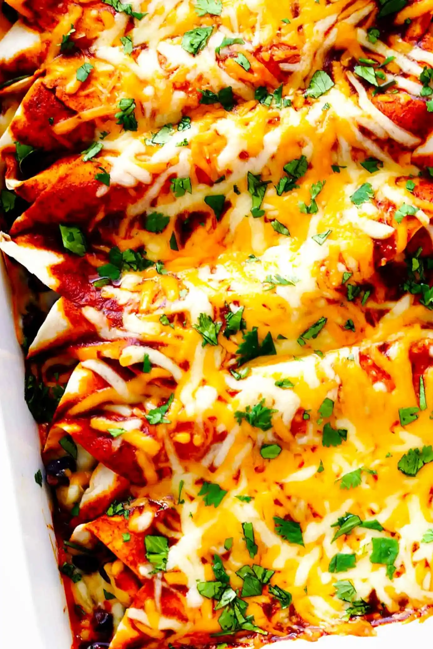 Classic Chicken Enchiladas 3 Classic Chicken Enchiladas